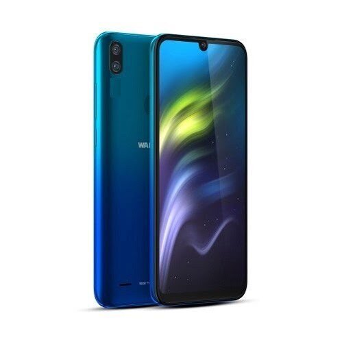 Walton Primo D10