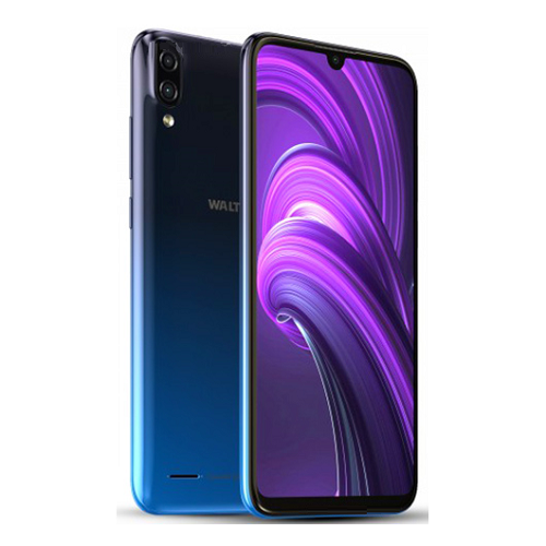 Walton Primo GM4