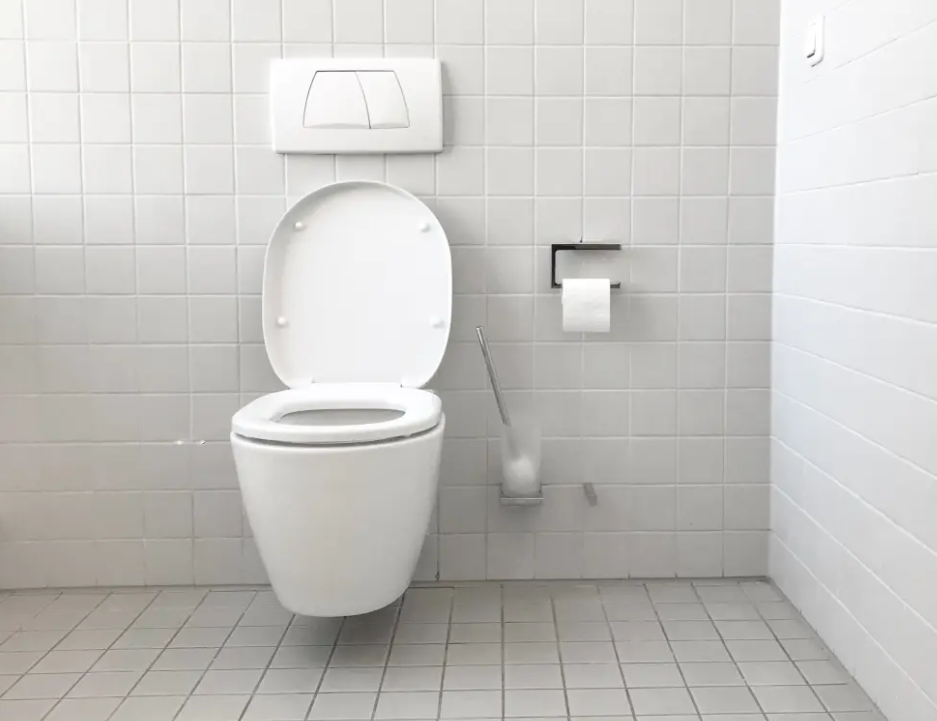How to Fix a Tankless Toilet? MobileBD