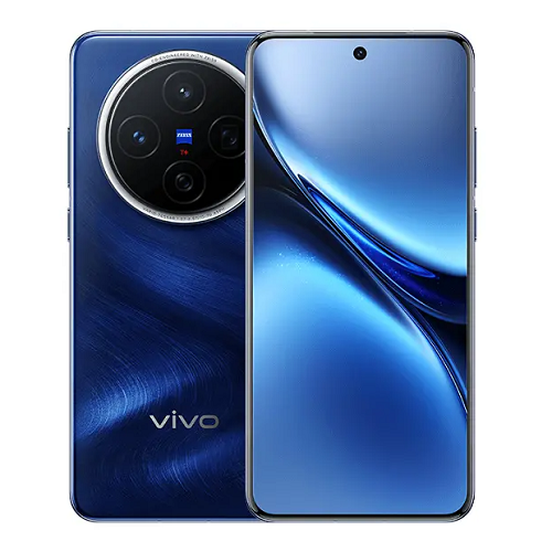 Vivo X300