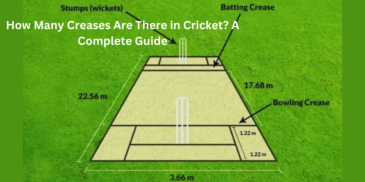 How Many Creases Are There in Cricket? A Complete Guide