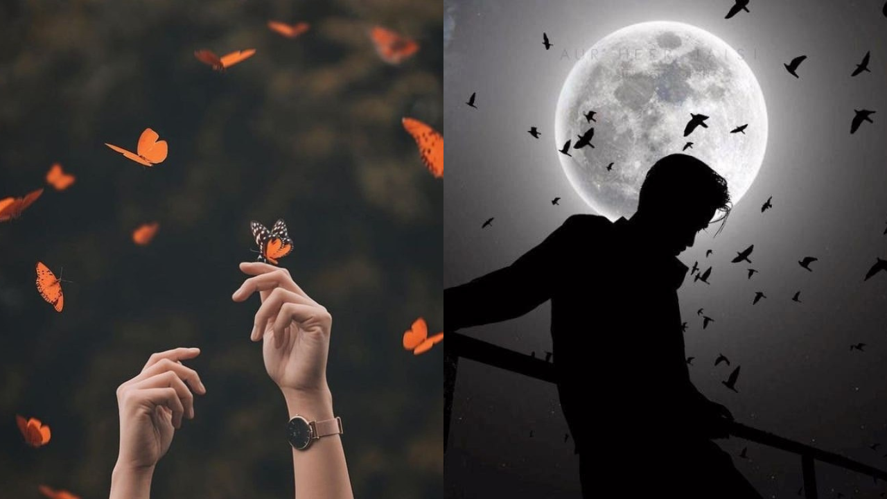 Stylish Images for Every Mood