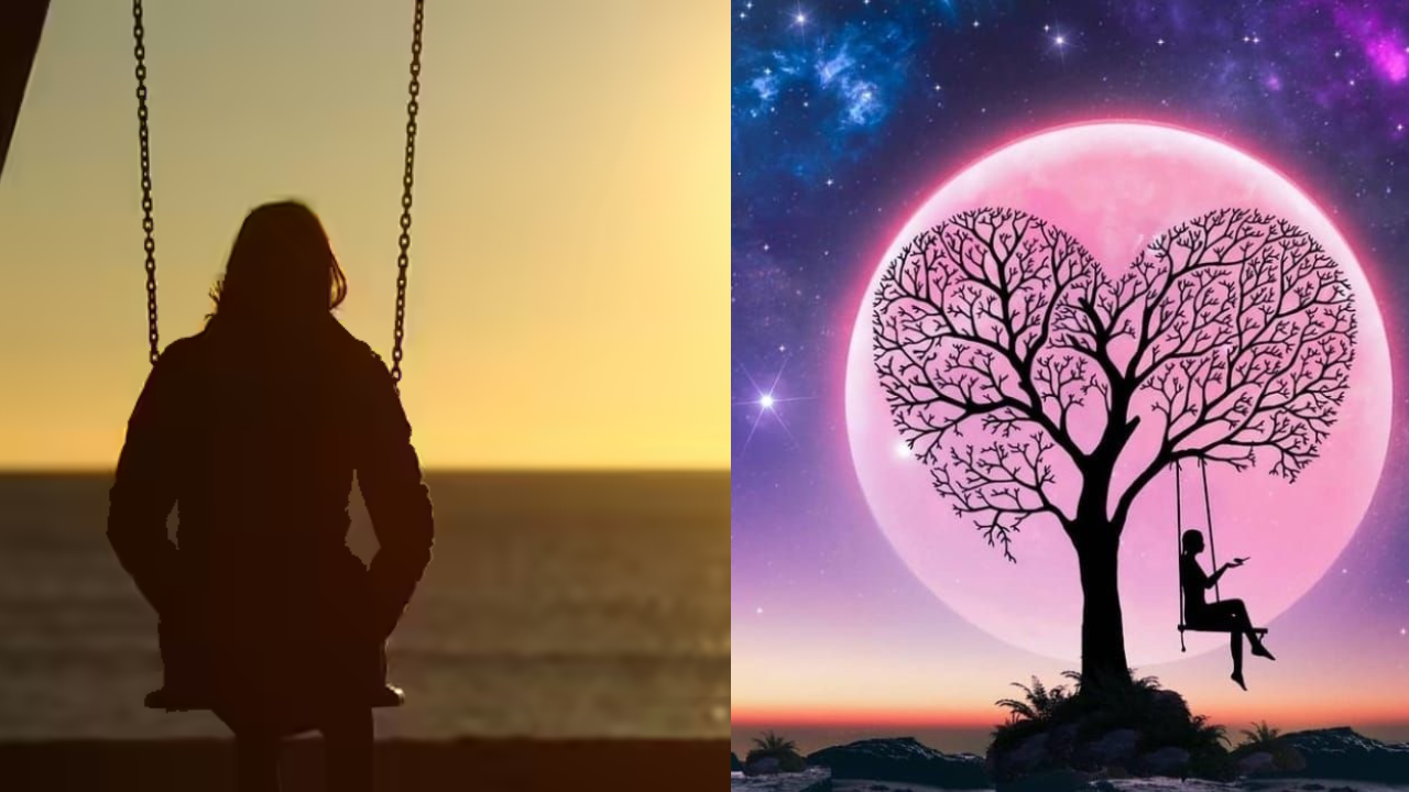 Tips for Choosing the Best DP