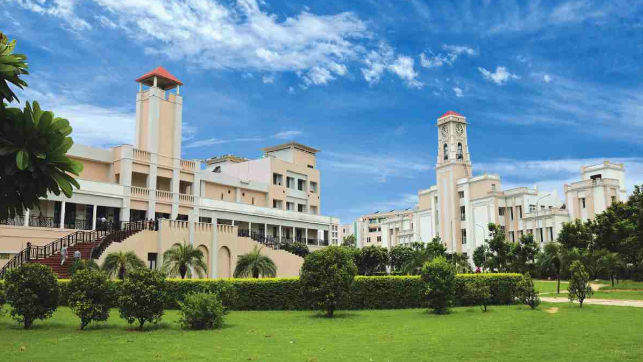 What is the TMU Portal?