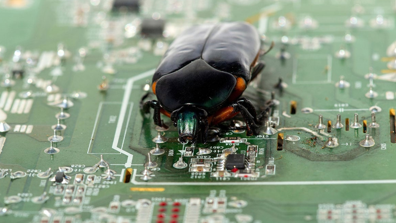 Safe Ways to Remove a Bug from Your Monitor