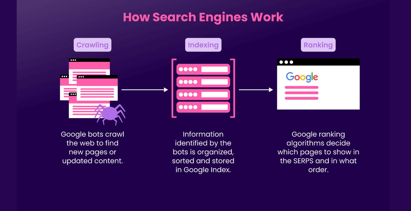 How Search Engines Basics Actually Work: Find Out Everything